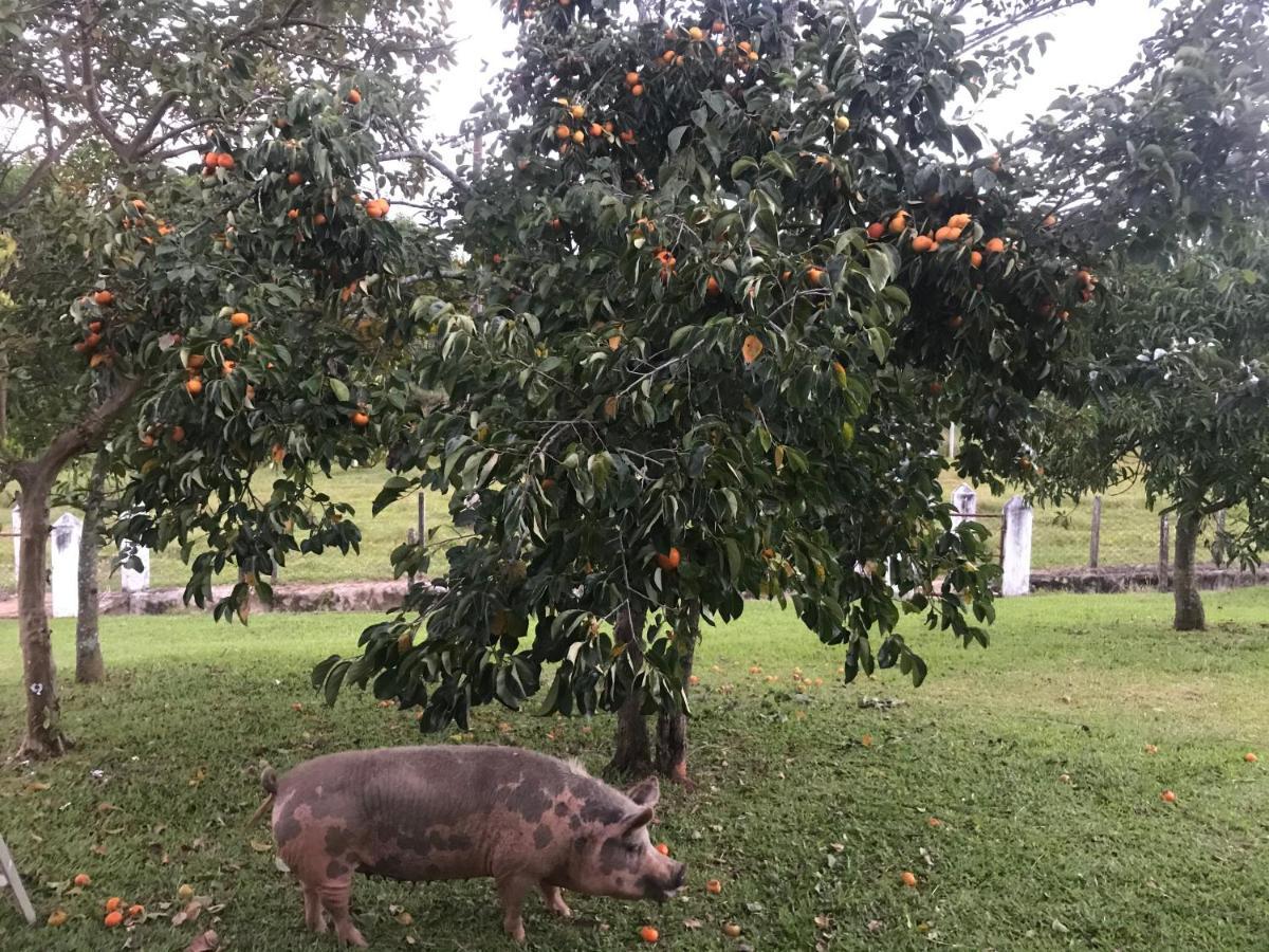 Villa Sitio Dos Rodrigues Lindóia Esterno foto